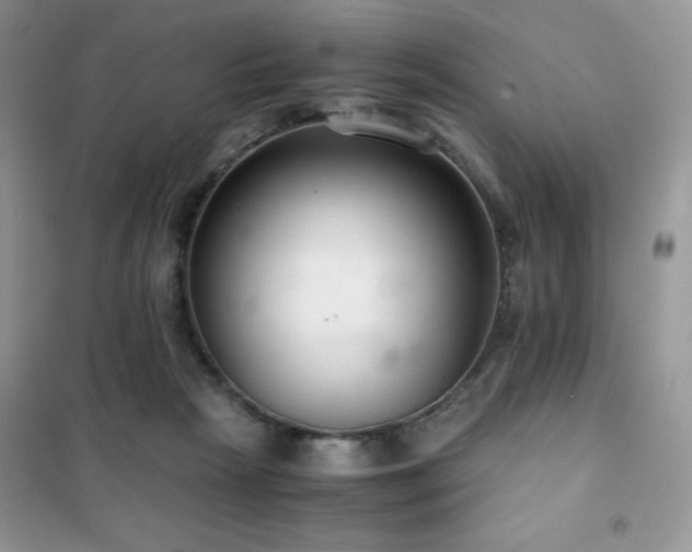 X0000102380265200808011543