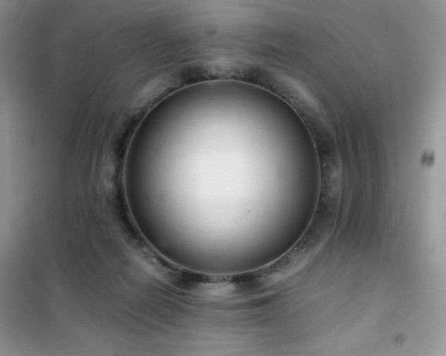 X0000102380266200808011543
