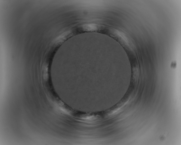 X0000102380267200808011543