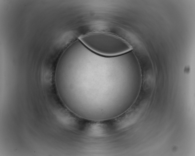 X0000102380268200808011543