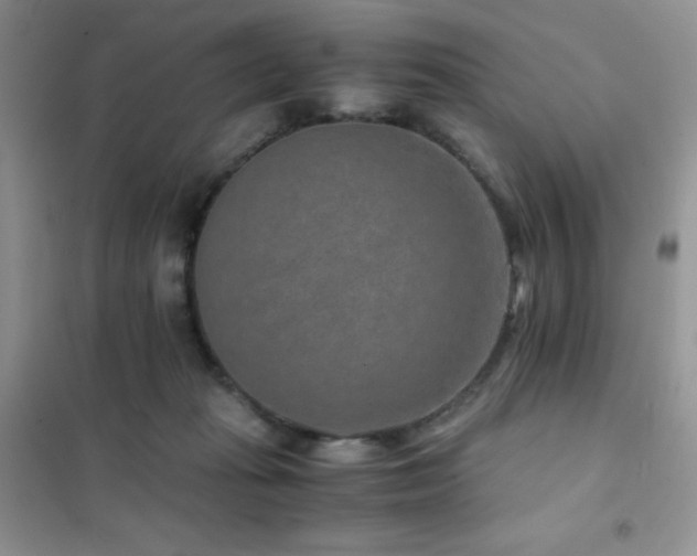 X0000102380269200808011543