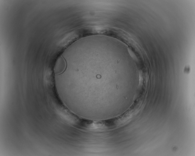 X0000102380270200808011543