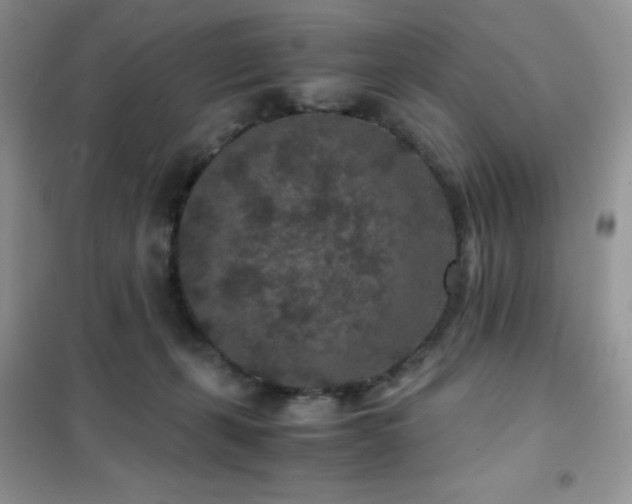X0000102380271200808011543