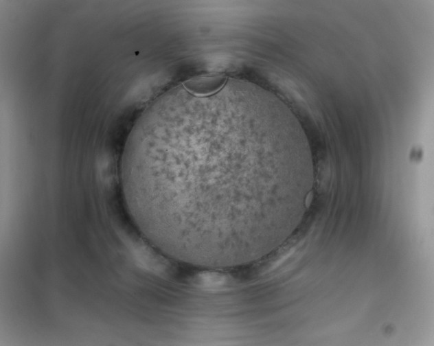 X0000102380272200808011543