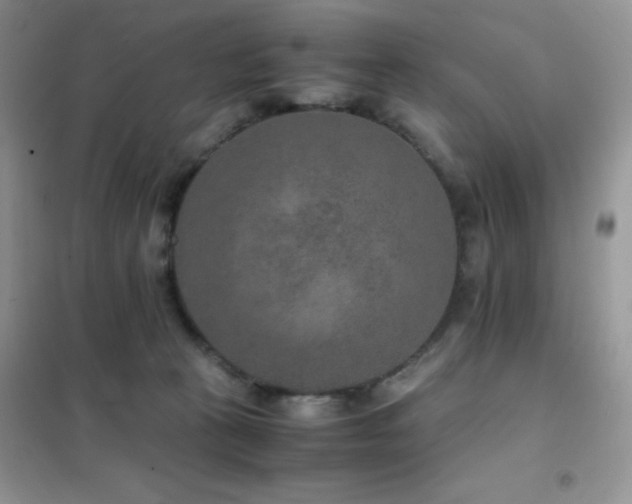 X0000102380273200808011543