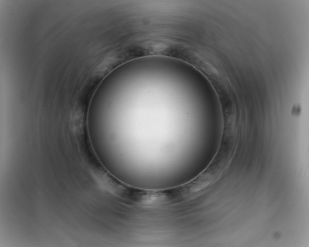 X0000102380274200808011543