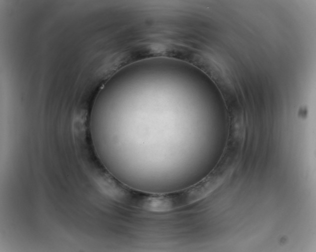 X0000102380275200808011543