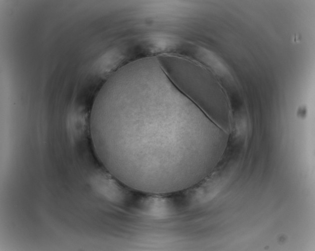X0000102380276200808011543
