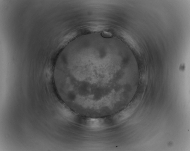 X0000102380277200808011543