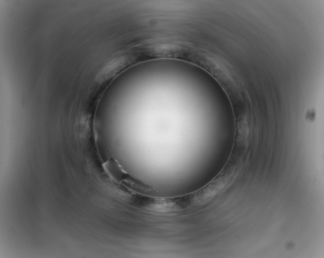 X0000102380278200808011543