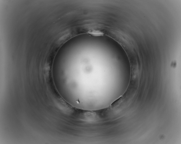 X0000102380279200808011543