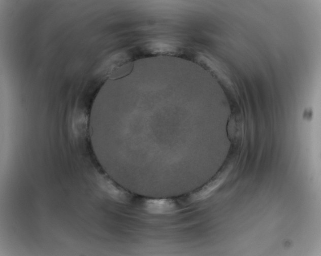 X0000102380281200808011543