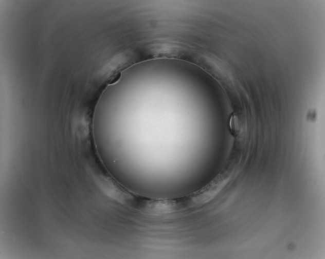 X0000102380282200808011543