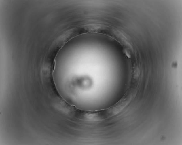 X0000102380283200808011543