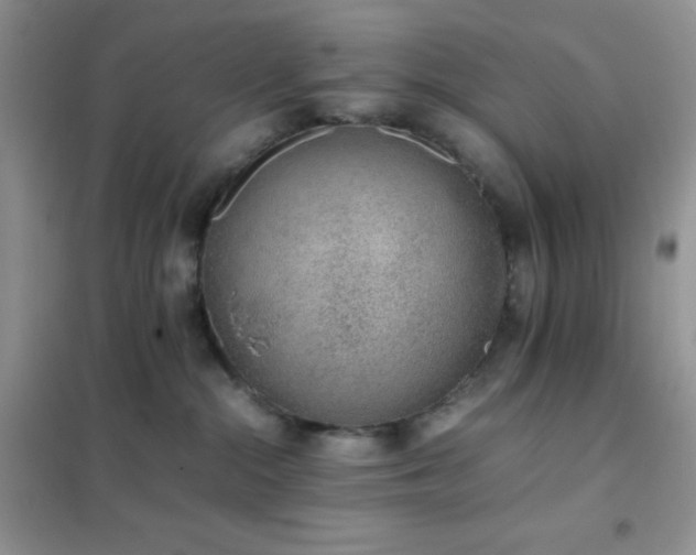 X0000102380284200808011543