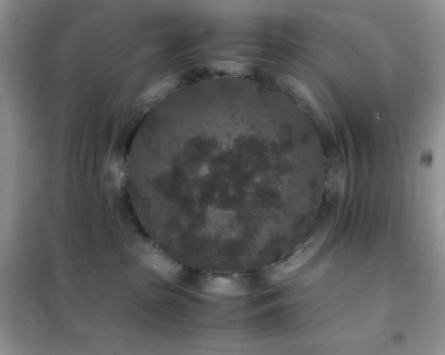 X0000102380285200808011543