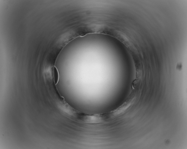 X0000102380286200808011543