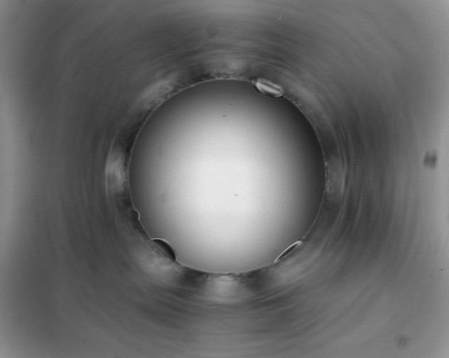 X0000102380287200808011543
