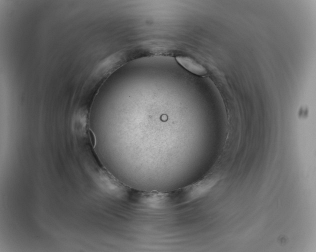 X0000102380288200808011543