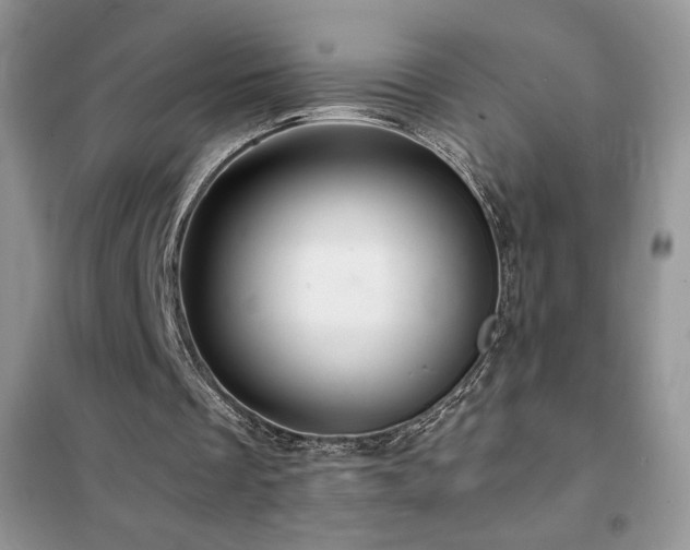 X0000102380289200808011543