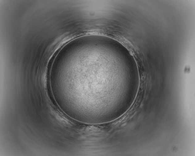 X0000102380290200808011543