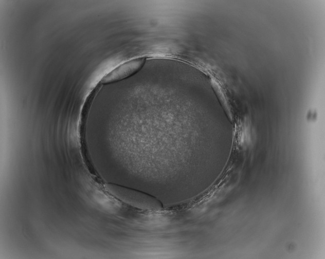 X0000102380292200808011543