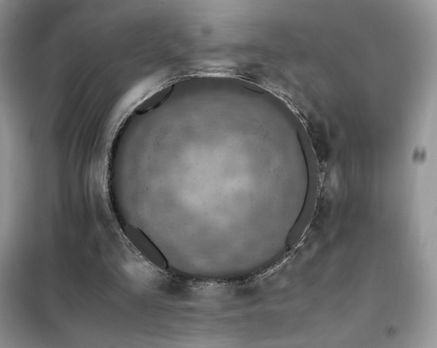 X0000102380293200808011543