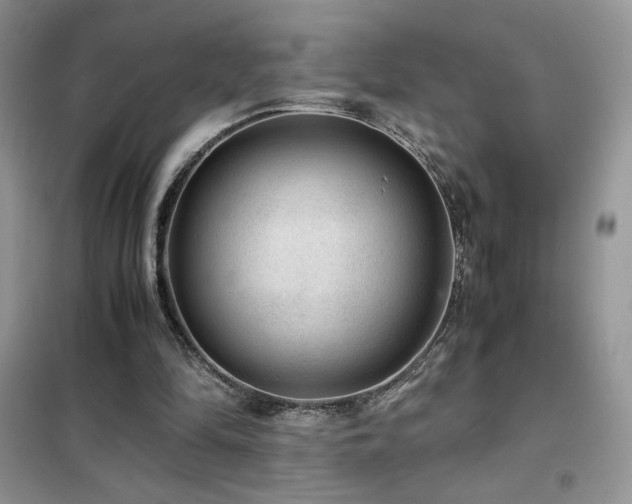 X0000102380294200808011543