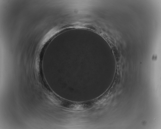 X0000102380295200808011543