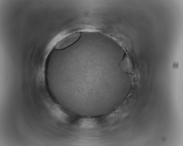 X0000102380296200808011543