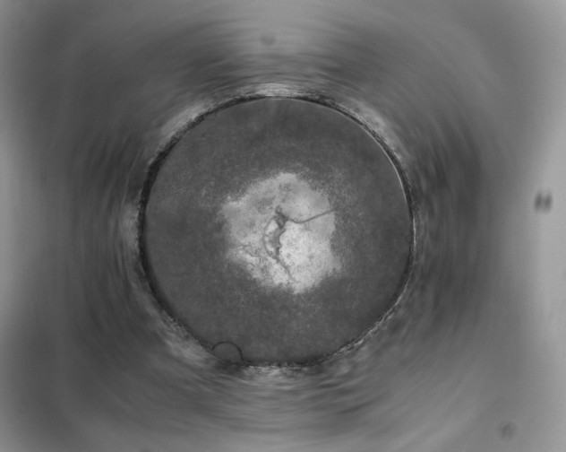 X0000102380297200808011543