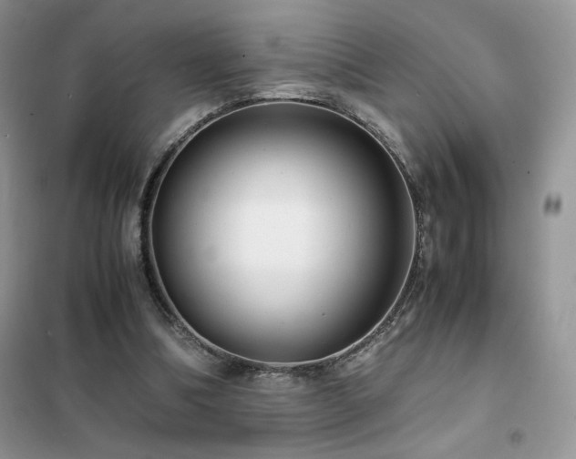 X0000102380298200808011543