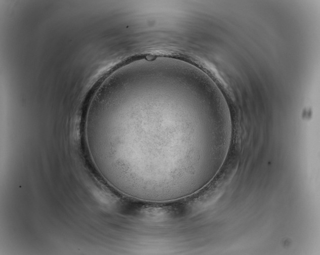 X0000102380299200808011543