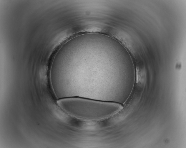 X0000102380300200808011543