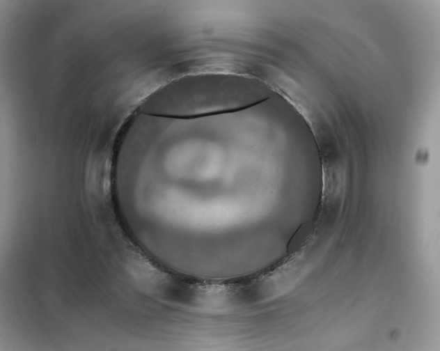 X0000102380301200808011543