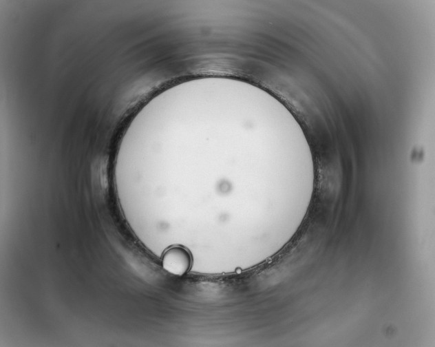 X0000102380302200808011543