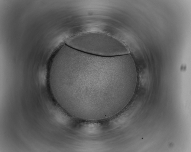 X0000102380304200808011543