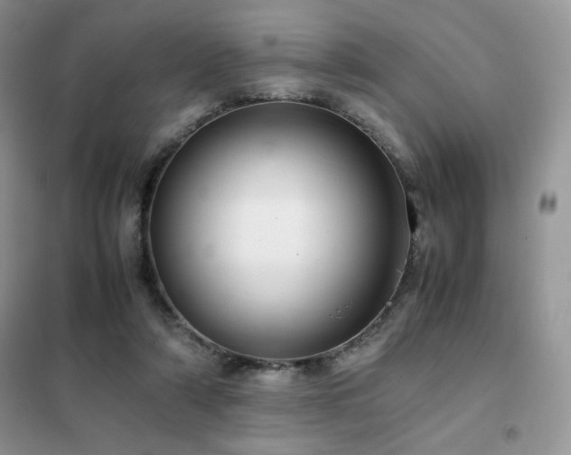 X0000102380306200808011543