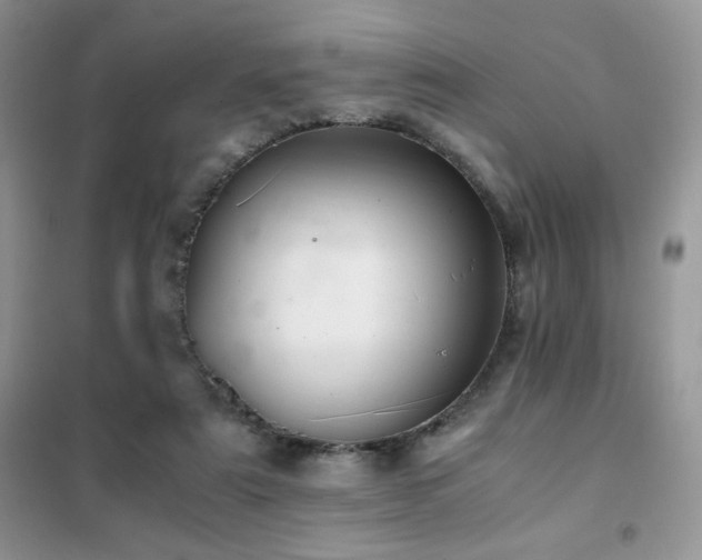X0000102380307200808011543