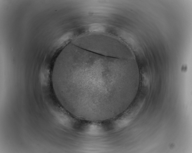X0000102380308200808011543