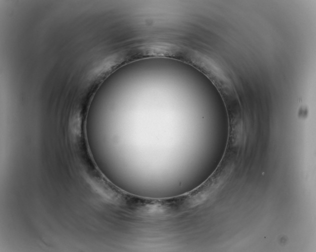 X0000102380310200808011542