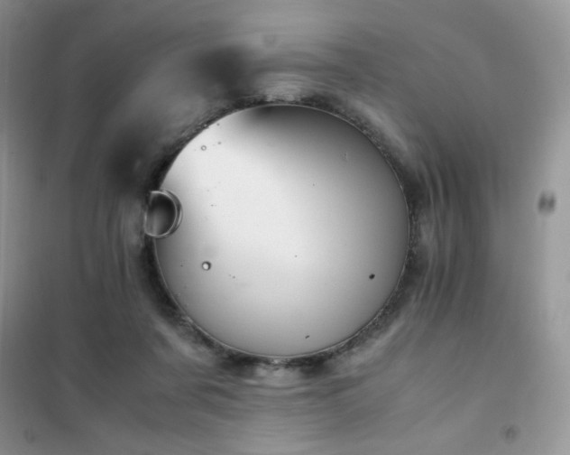 X0000102380311200808011542