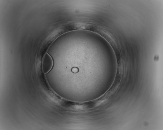X0000102380314200808011542