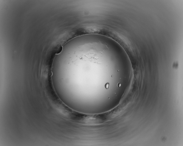 X0000102380315200808011542