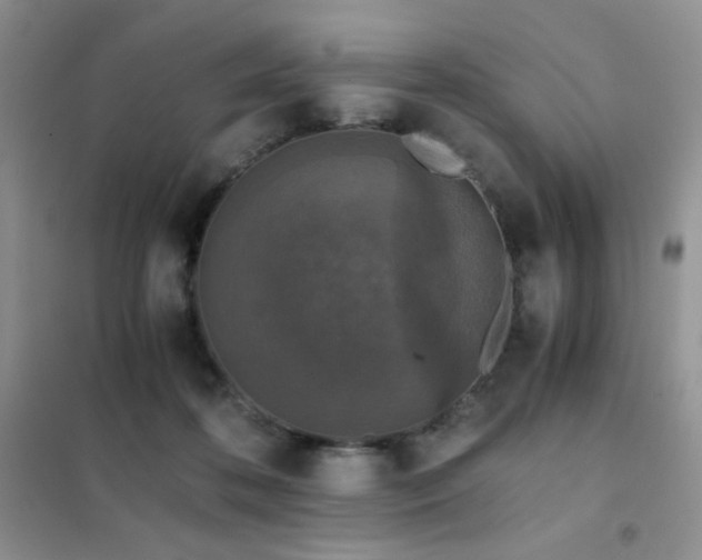 X0000102380316200808011542