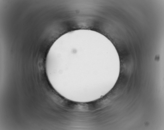 X0000102380317200808011542