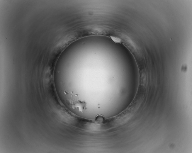 X0000102380318200808011542