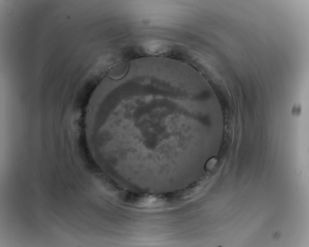 X0000102380319200808011542