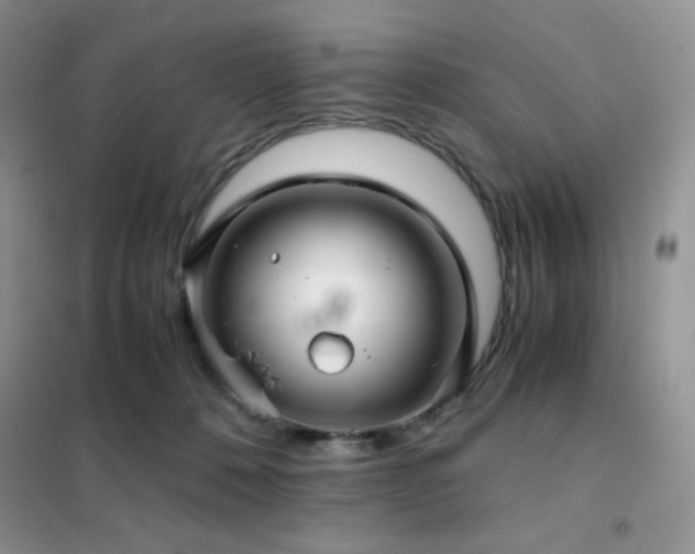X0000102380320200808011542