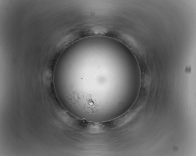 X0000102380321200808011542